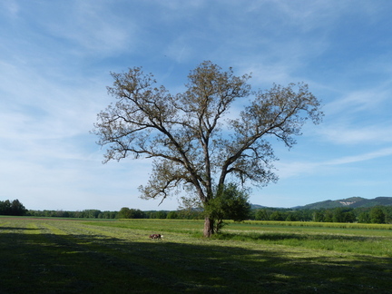 P1100963