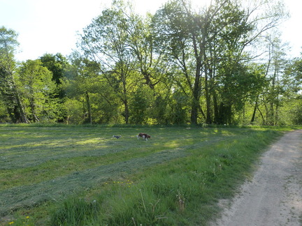 P1100959