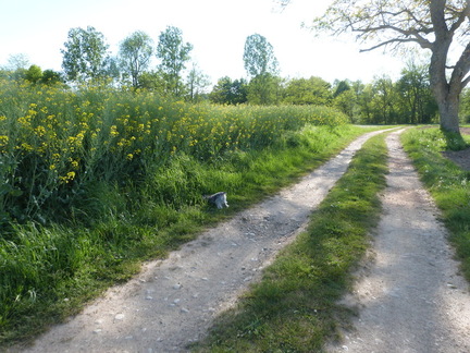 P1100956