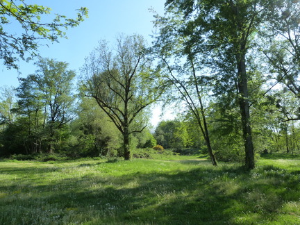 P1110032