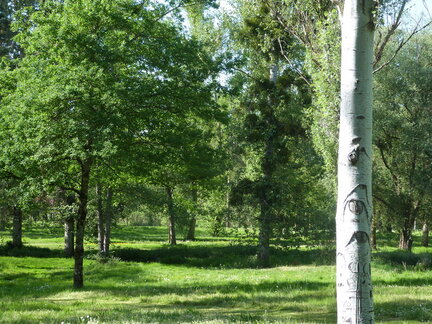 P1110031