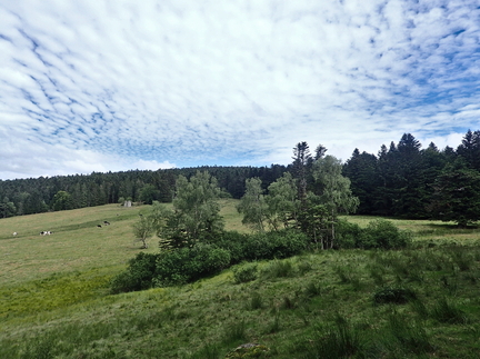 P8060052