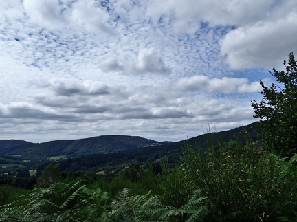 P8060019