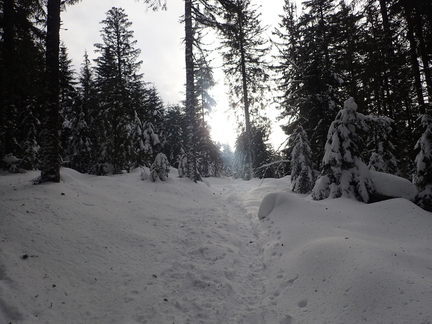 P1200026