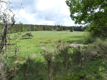 P1110509