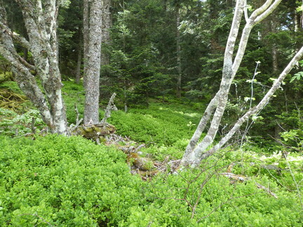 P1110507
