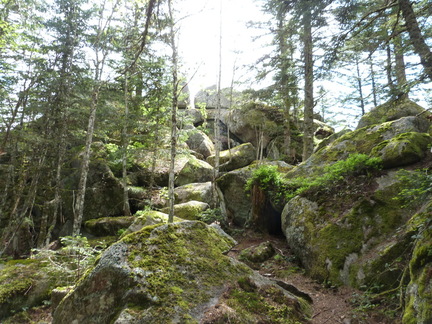 P1110478