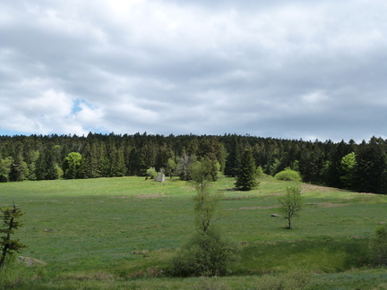 P1110466