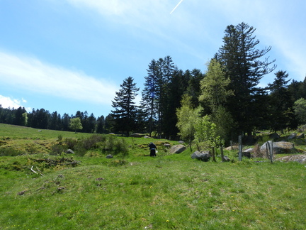 P1110446