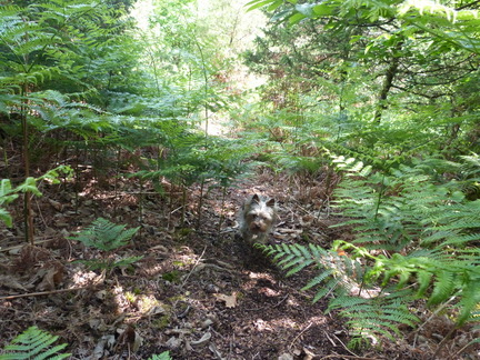 P1110714
