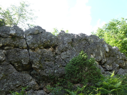 P1110709