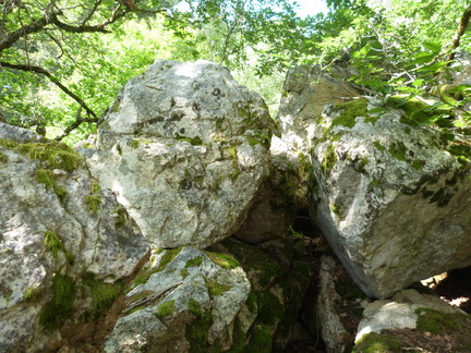 P1110697