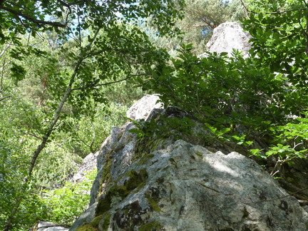 P1110691