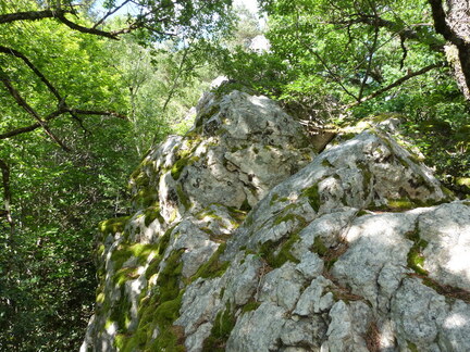P1110690