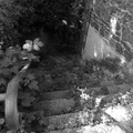 P1120174