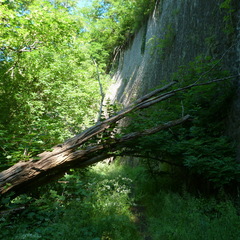 P1120171