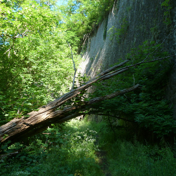 P1120171.JPG
