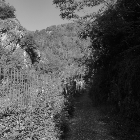 P1120167.JPG