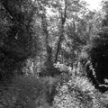 P1120165