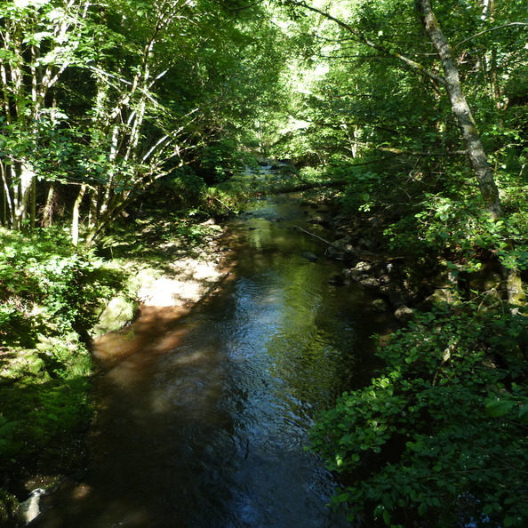 P1120160.JPG