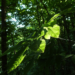 P1120157