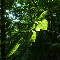 P1120157