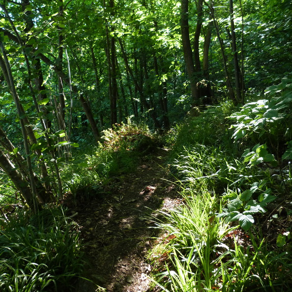 P1120156.JPG