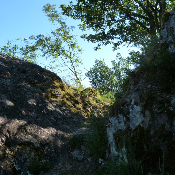 P1120154.JPG