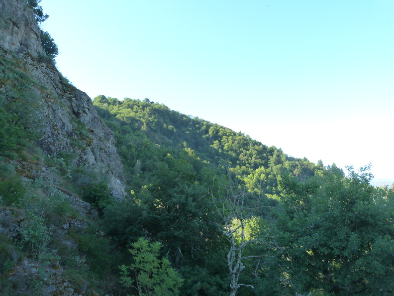 P1120148.JPG