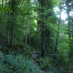 P1120142