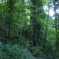 P1120142