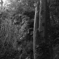 P1120139