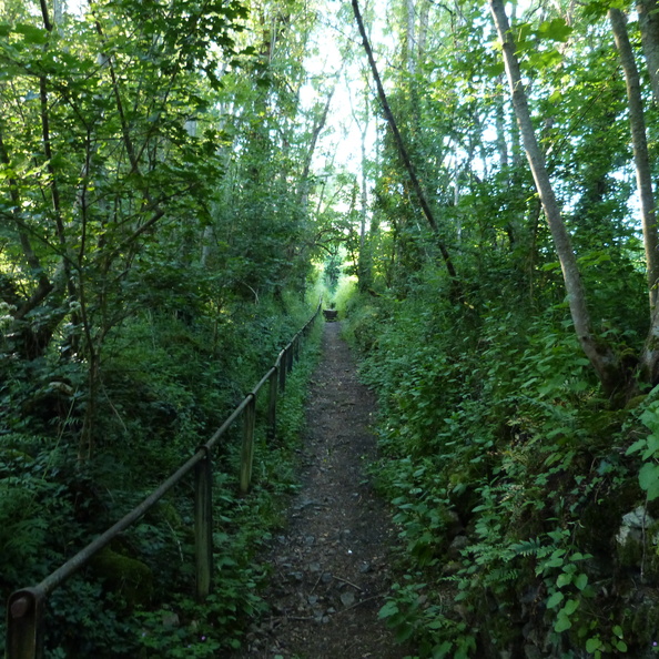 P1120134.JPG