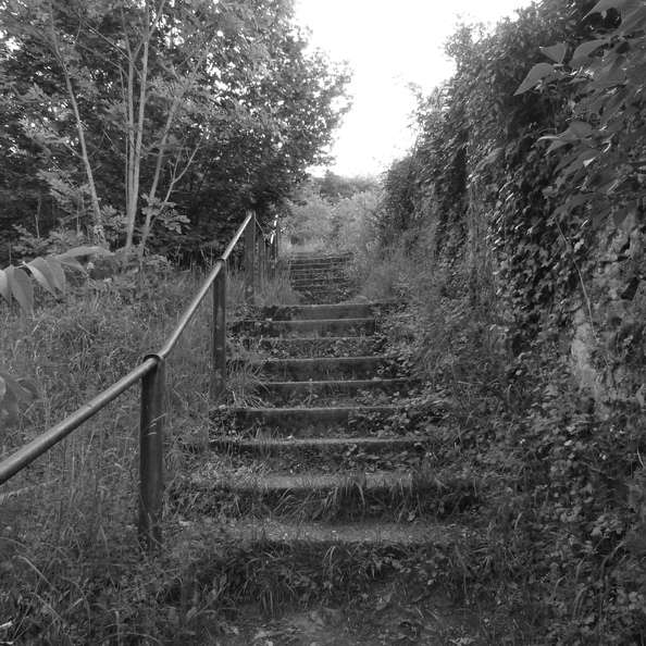P1120113.JPG