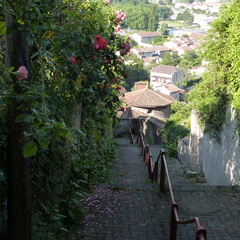 P1120243
