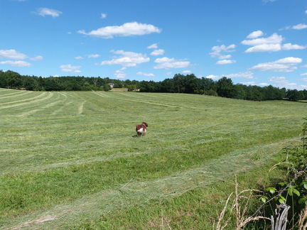 P1120830