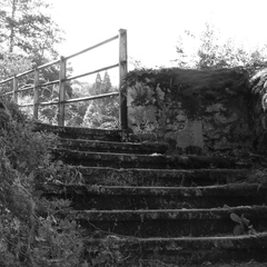 P1130001