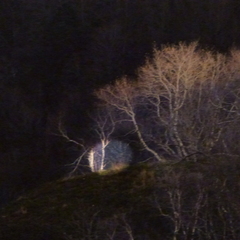 P1130066