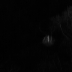 P1130059