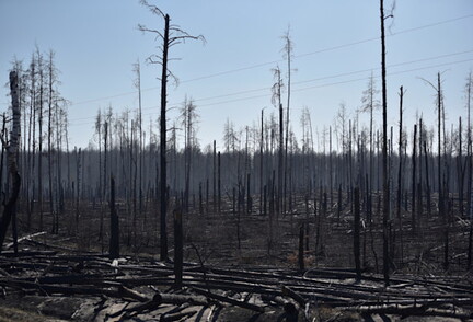 2020-04-14T083409Z 1 LYNXNPEG3D0LN RTROPTP 4 UKRAINE-CHERNOBYL-FIRE-565817196