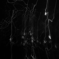 P1130126