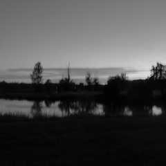 P1130108