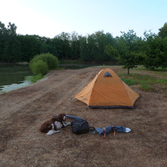 P1130329