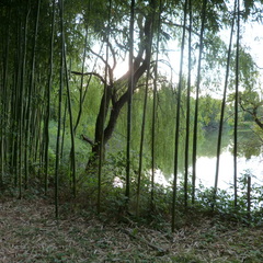 P1130326