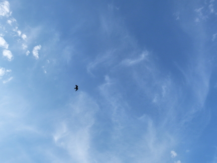 P1130263