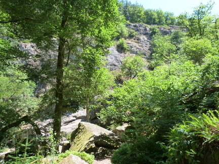 P1130464