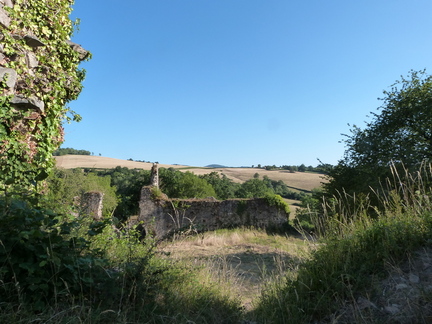 P1130423