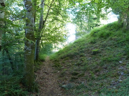 P1130415