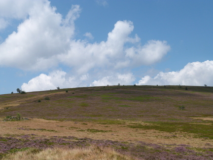 P1130673