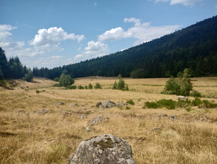 IMG 20260718 154338290 HDR